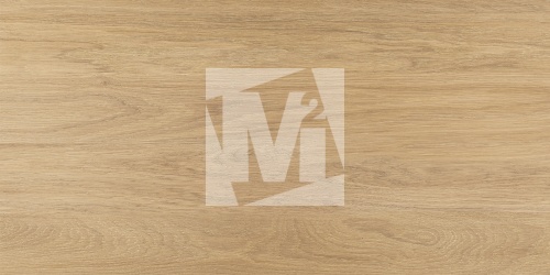 Керамическая плитка и керамогранит, коллекция: NR12060419-M