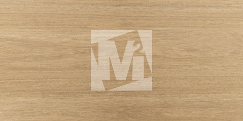 Керамическая плитка и керамогранит, коллекция: NR12060419-M