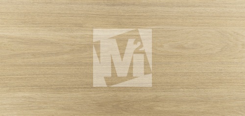 NR12060419-M